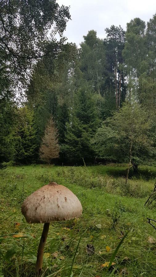 什切齐内克Przystan Kapitanat公寓 外观 照片